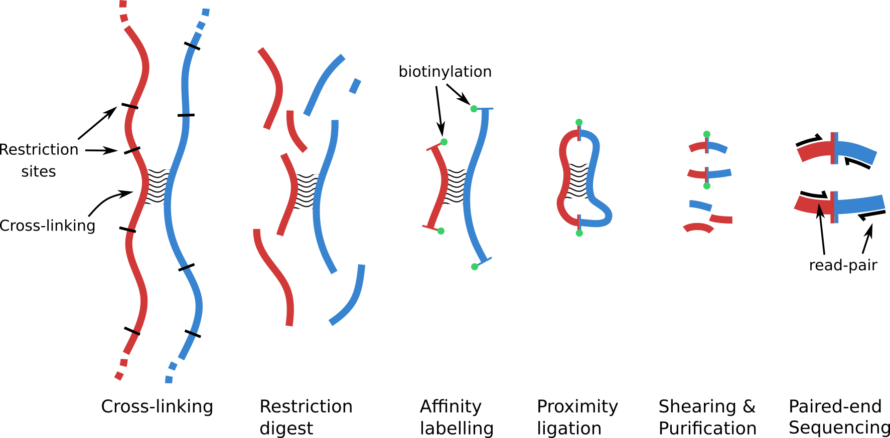 hi-c-metagenomics-tutorial