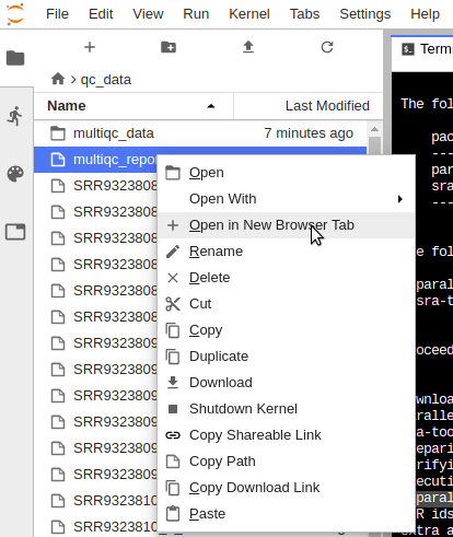 Opening MultiQC context menu